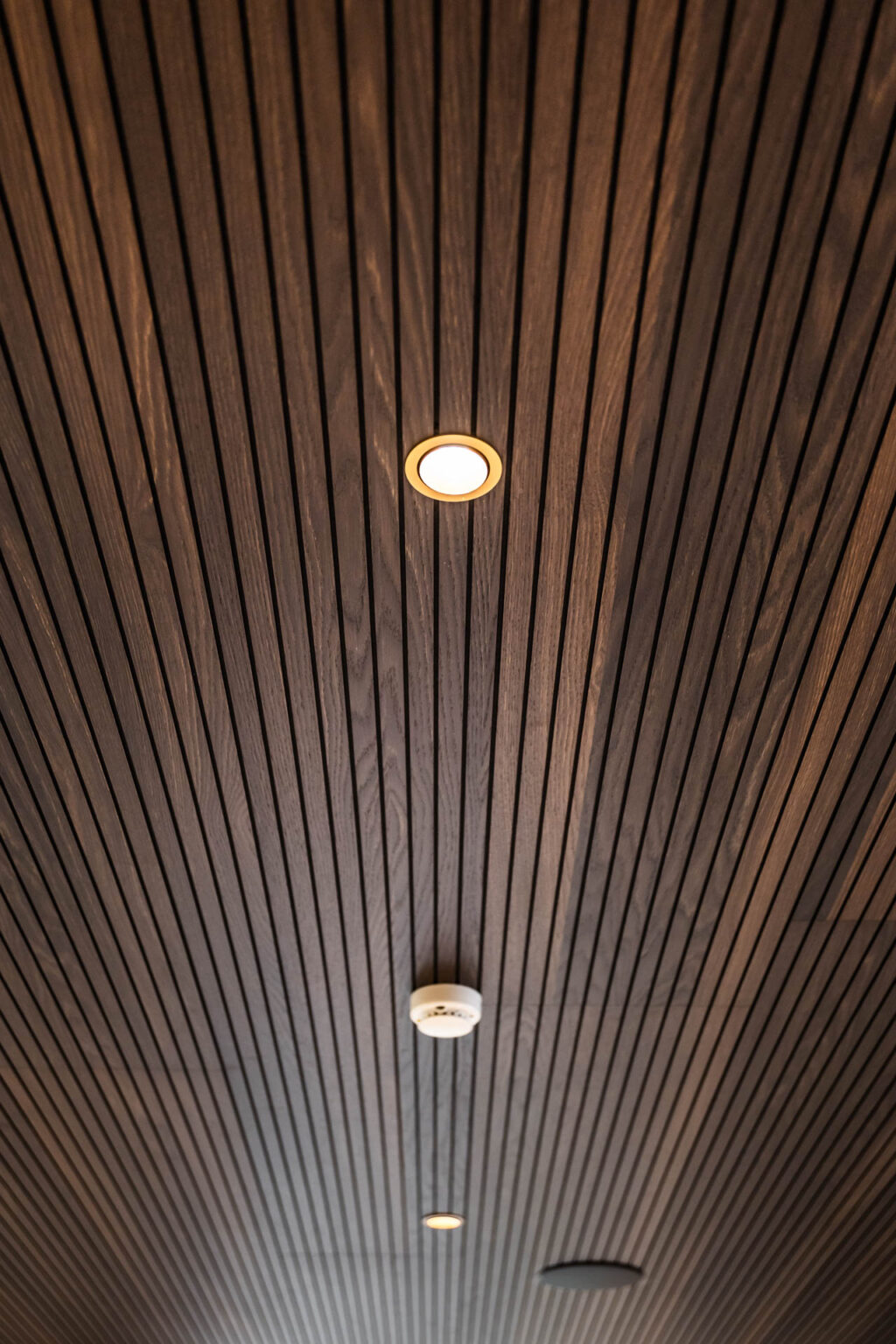 TL0699 Ardena – Urbany-35